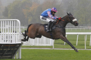 20J3948 Home Made Hero