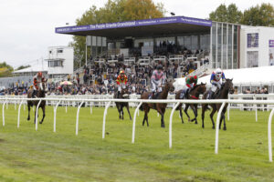 20J8416 Worcester Stands