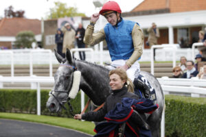 20J8993 Fallen Angel