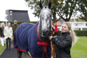 20J8998 Fallen Angel