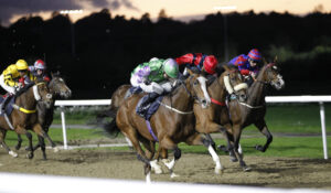 20J9104 Top Of Pleinmont