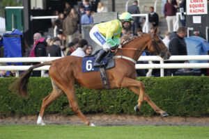 20J9164 Bells Of Ufford
