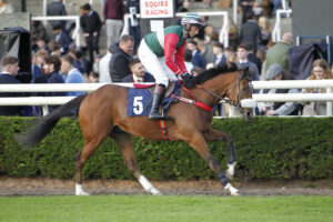 20J9180 Dreams Fled Away