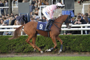 20J9197 Little Venice