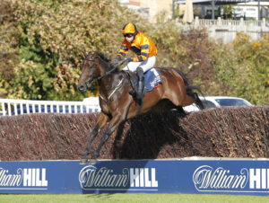 20J9343 Aslukwoodhavit