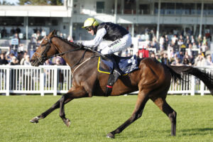 20J9566 The Expensive One