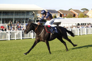 20J9622 Sleeping Satellite