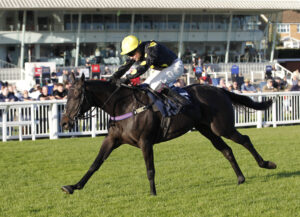 20J9631 Blackijo Dagrostis