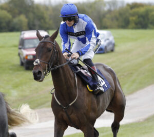 20J9972 Tread Carefully