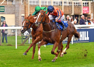 251002 0109 Akho Mezzna