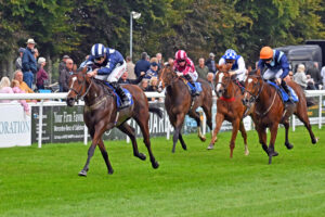 251002 0170 Illy’s Roo