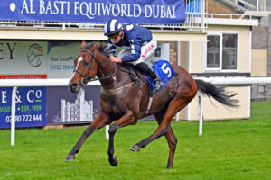 251002 0174 Illy’s Roo