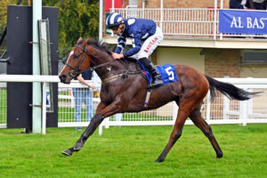 251002 0179 Illy’s Roo