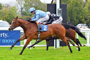 251002 0219 Black Chiffon