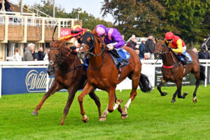 251002 0406 Into Battle