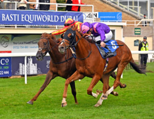 251002 0411 Into Battle