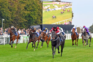 251002 0466 Fair Dinkum