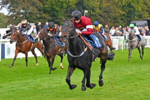 251002 0473 Fair Dinkum