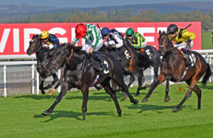 251012 0194 Magnatura