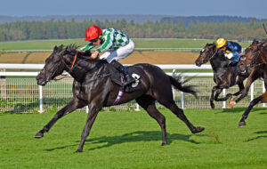 251012 0200 Magnatura