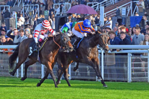 251012 0314 Far From Dream