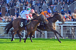 251012 0328 Far From Dream