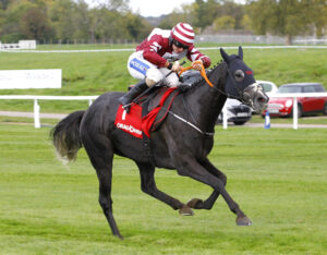 78F0210 Sticktotheplan