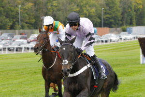 78F0401 Ile De Jersey