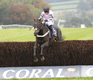 78F0439 Ile De Jersey