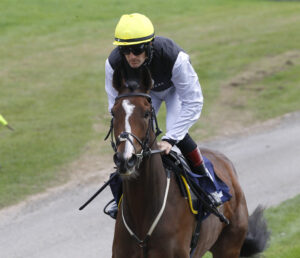 78F0599 Intosomethinggod