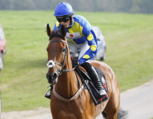 78F1051 Tutti Quanti