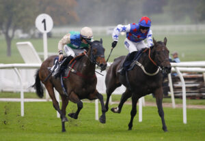 78F1907 Shotgun Shirley