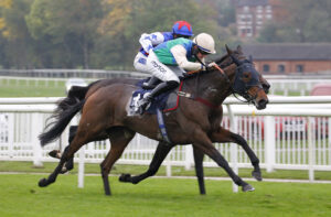 78F1919 Shotgun Shirley