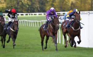 78F2184 Saint Jeannais