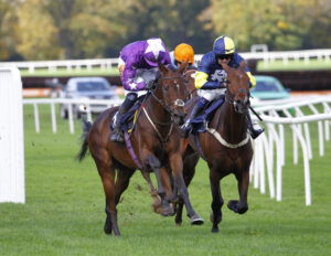 78F2193 Saint Jeannais