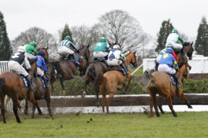 78F7436 Over a fence at Doncaster