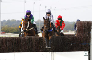 78F7633 Getaway Jewel