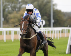 78F8078 Stripe Of Honour