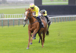 78F8247 Princess Rascal