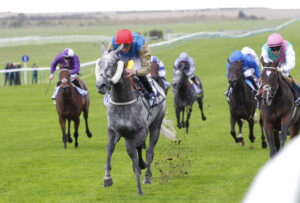 78F8333 Fallen Angel