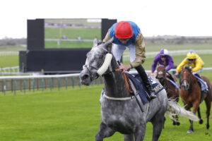 78F8340 Fallen Angel