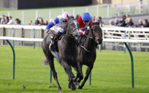 78F8413 Perfect Your Craft