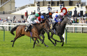 78F8424 Perfect Your Craft