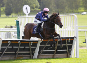 78F8550 Roland Garros