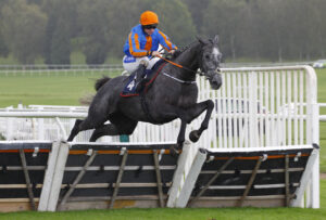 78F8652 Kefir D’Oudairies