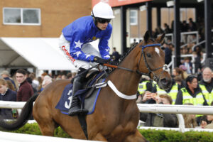 78F8803 Jazz De Cotte