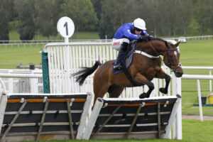 78F8836 Jazz De Cotte