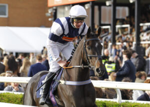 78F8942 My Bobby Dazzler