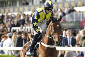 78F8954 Surrey Quest