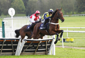 78F8965 Surrey Quest